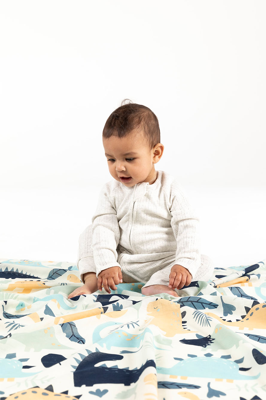 Dinosaur Swaddle Indus Design